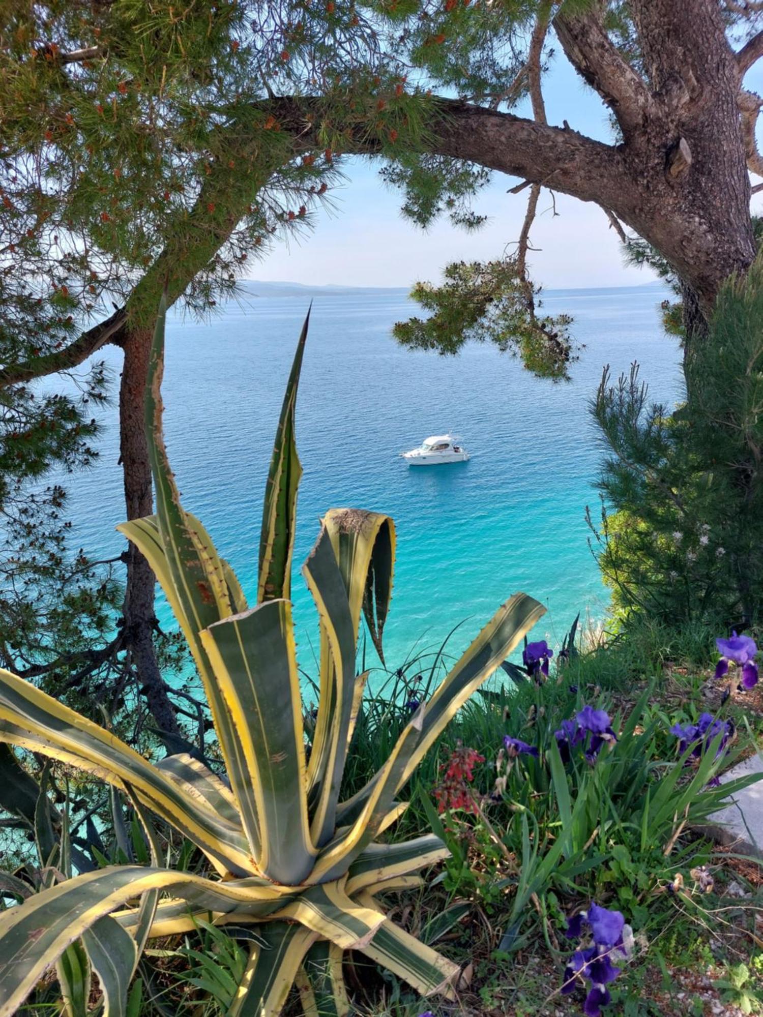 Villa Bratus Промайна Екстериор снимка